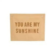 Load image into Gallery viewer, You Are My Sunshine Banner - Peach - Banners
