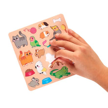 Load image into Gallery viewer, Play Again Mini Activity Kit Pet Play Land
